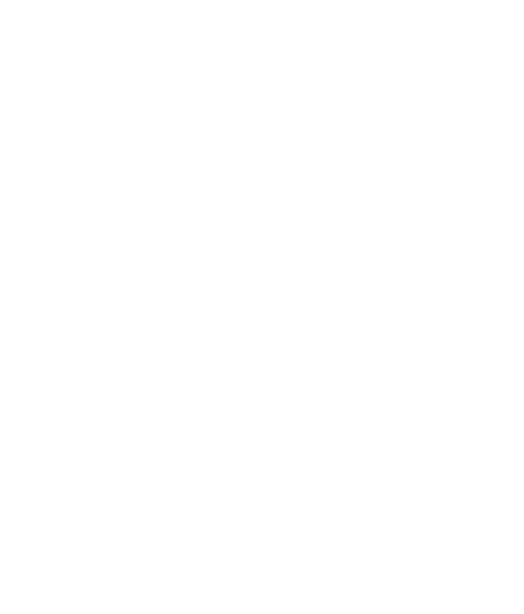 LOGO FTS
